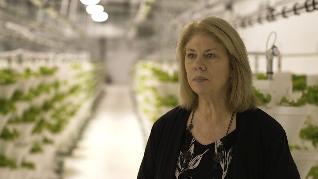 Woman standing in front of hydroponic lettuce farm.