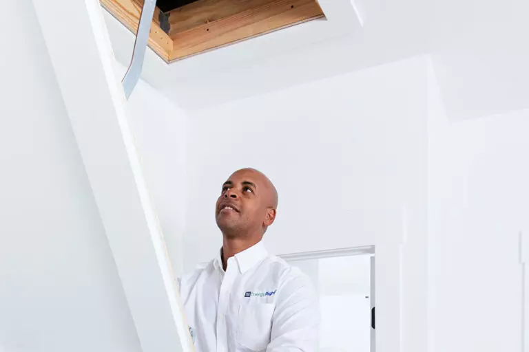 Man inspecting attic insulation