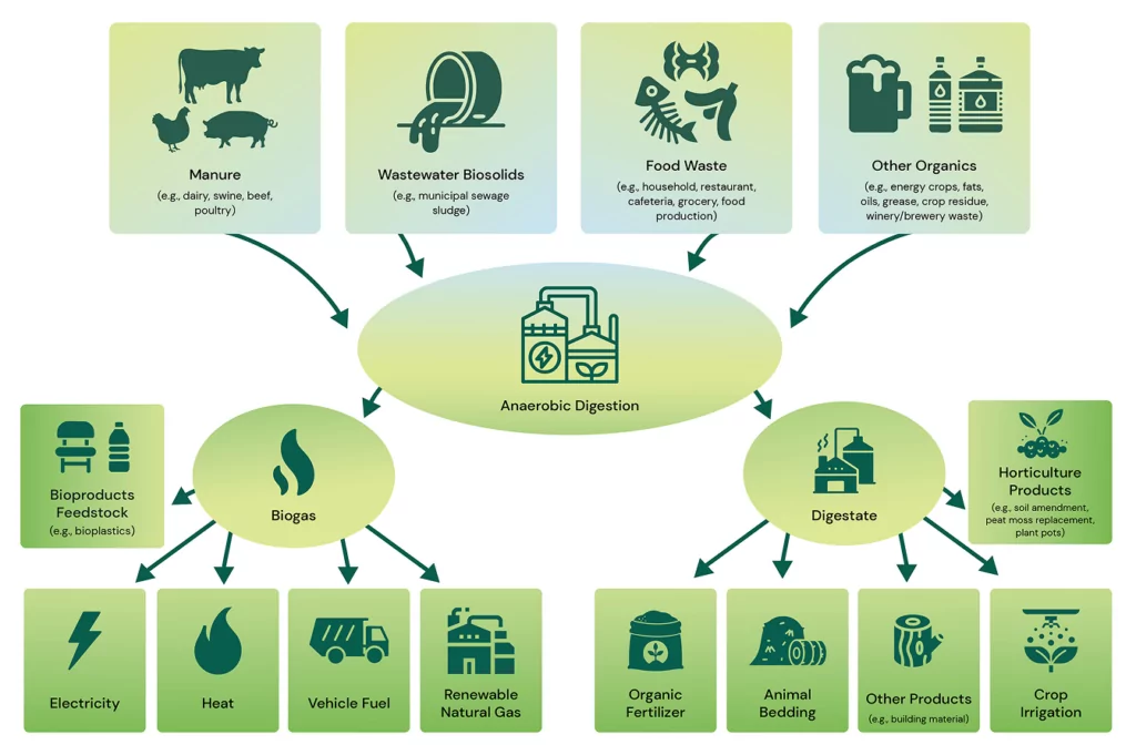 Graphic element that explains anaerobic digestion