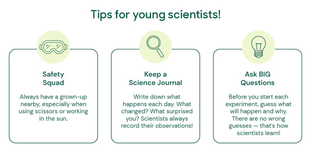 Tips for young scientists!
Safety Squad: Always have a grown-up nearby, especially when using scissors or working in the sun.

Keep a Science Journal: Write down what happens each day. What changed? What surprised you? Scientists always record their observations!

Ask BIG Questions: Before you start each experiment, guess what will happen and why. There are no wrong guesses — that's how scientists learn!