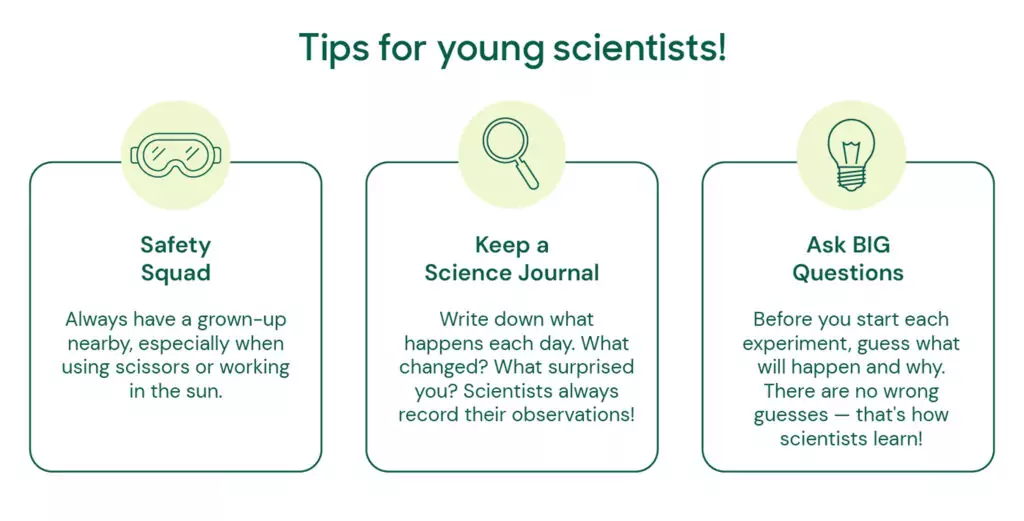 Tips for young scientists!
Safety Squad: Always have a grown-up nearby, especially when using scissors or working in the sun.
Keep a Science Journal: Write down what happens each day. What changed? What surprised you? Scientists always record their observations!
Ask BIG Questions: Before you start each experiment, guess what will happen and why. There are no wrong guesses — that's how scientists learn!