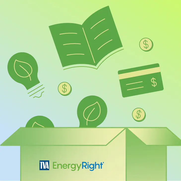 TVA EnergyRight box receives icons of LED lighting, an open book, coins, and a rebate card, symbolizing energy savings and resources.